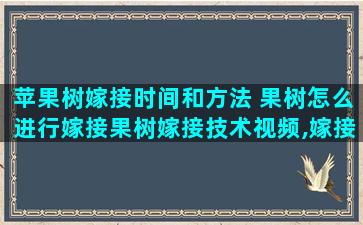 苹果树嫁接时间和方法 果树怎么进行嫁接果树嫁接技术视频,嫁接方法图解